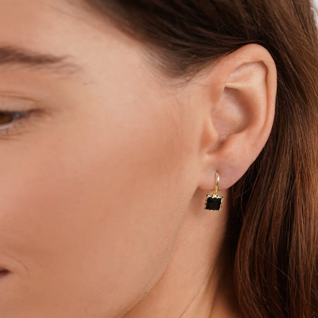 Piper Black Crystal Drop Earrings - Image 2