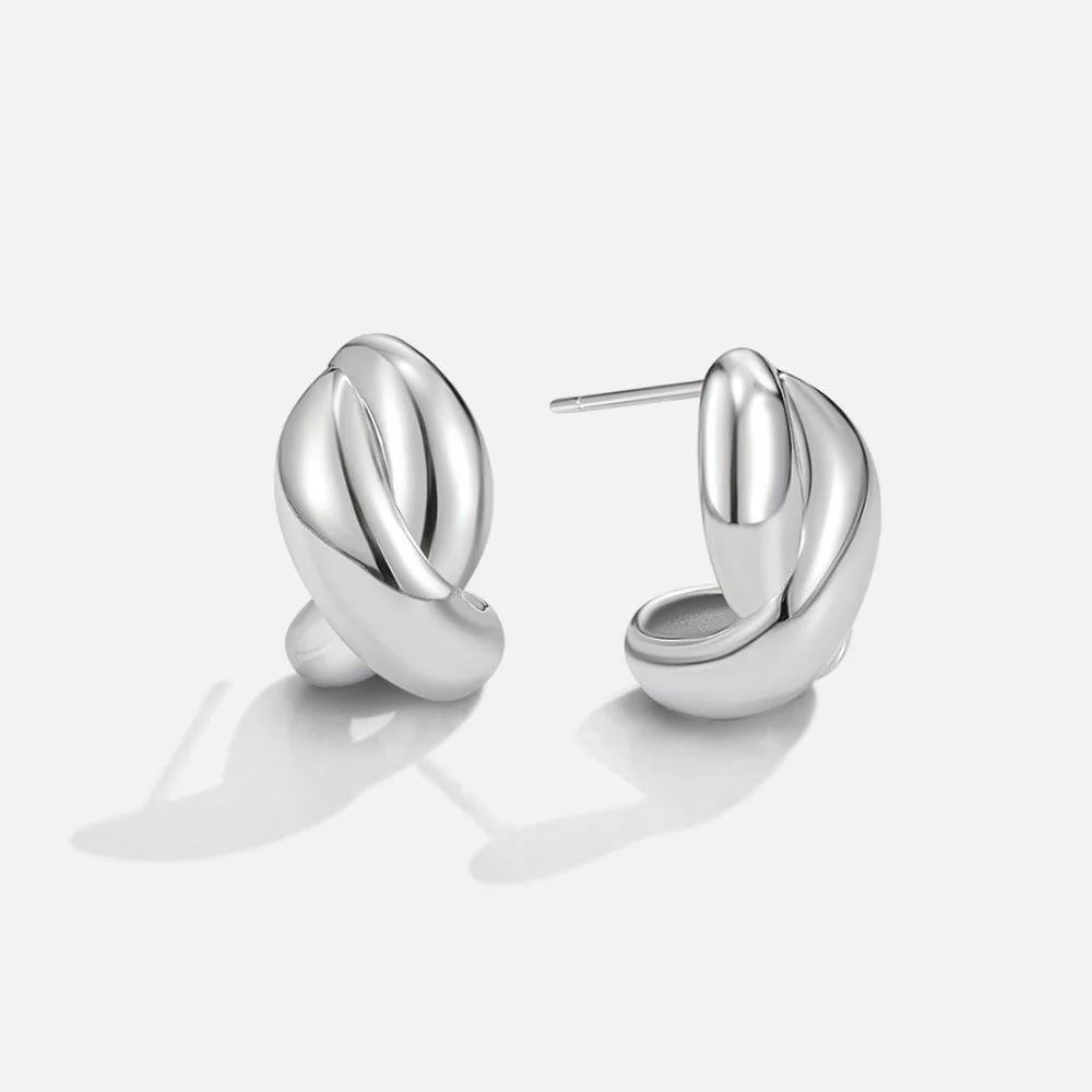Silver Dakota Twisted Earrings - Image 3