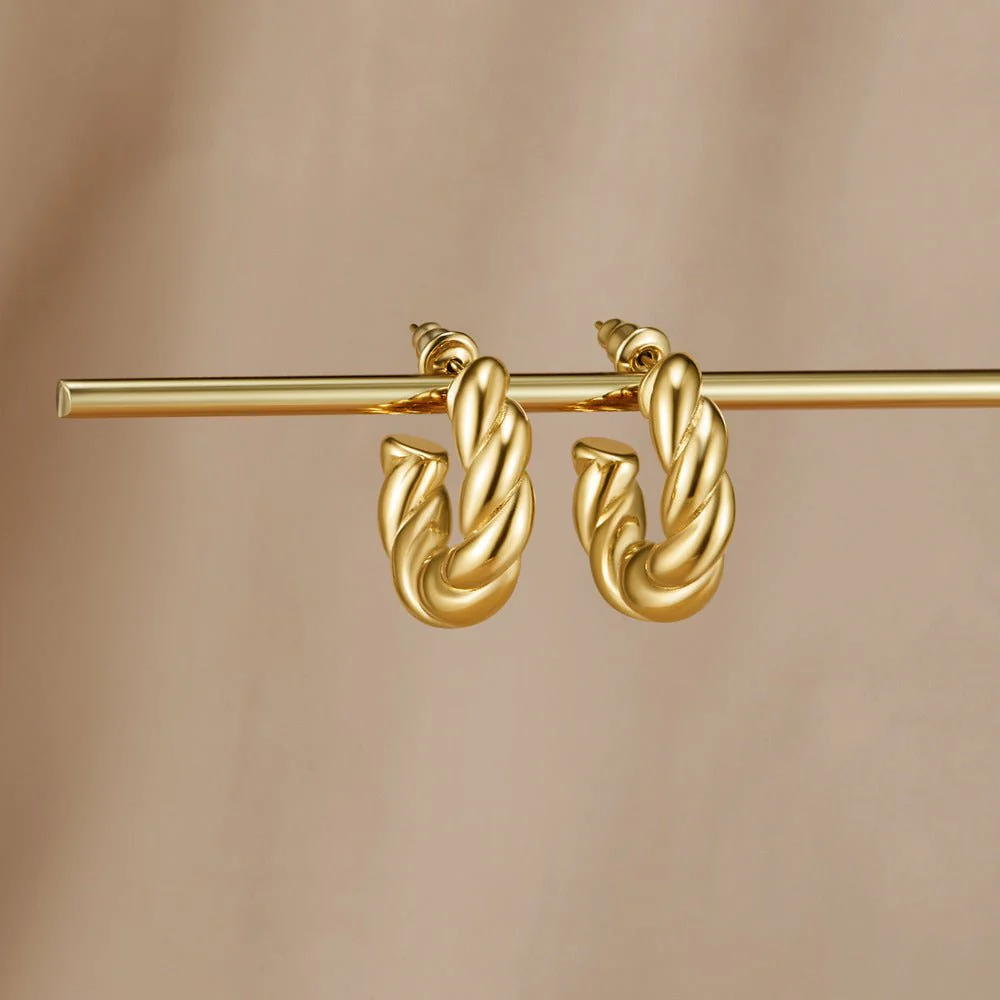 Twisted Felicity Hoop Earrings