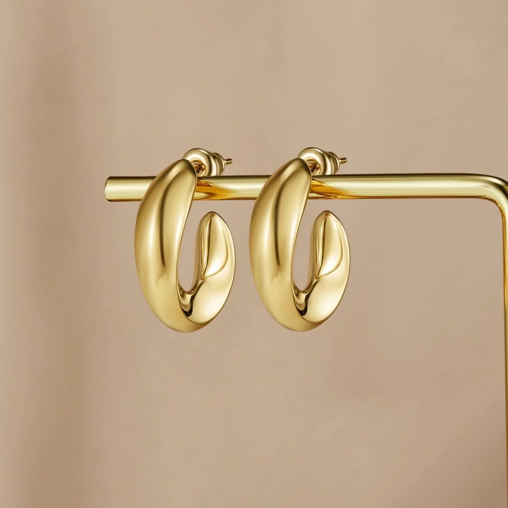 Twisted Sarah Hoop Earrings